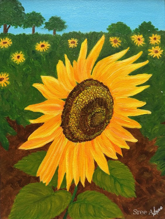 A Field of Smiles