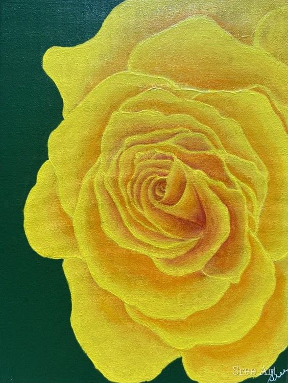 Warmth in Bloom