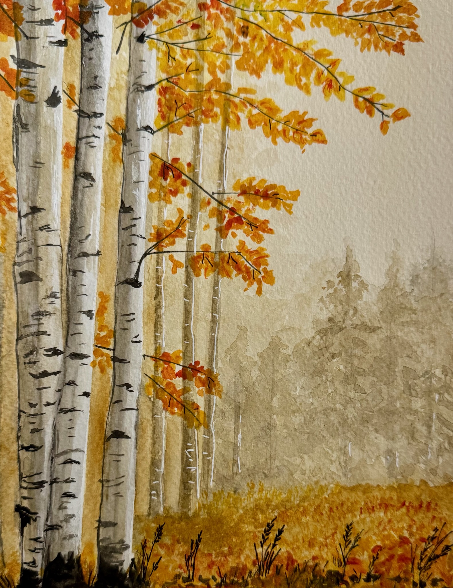Golden Leaves, Quiet Woods