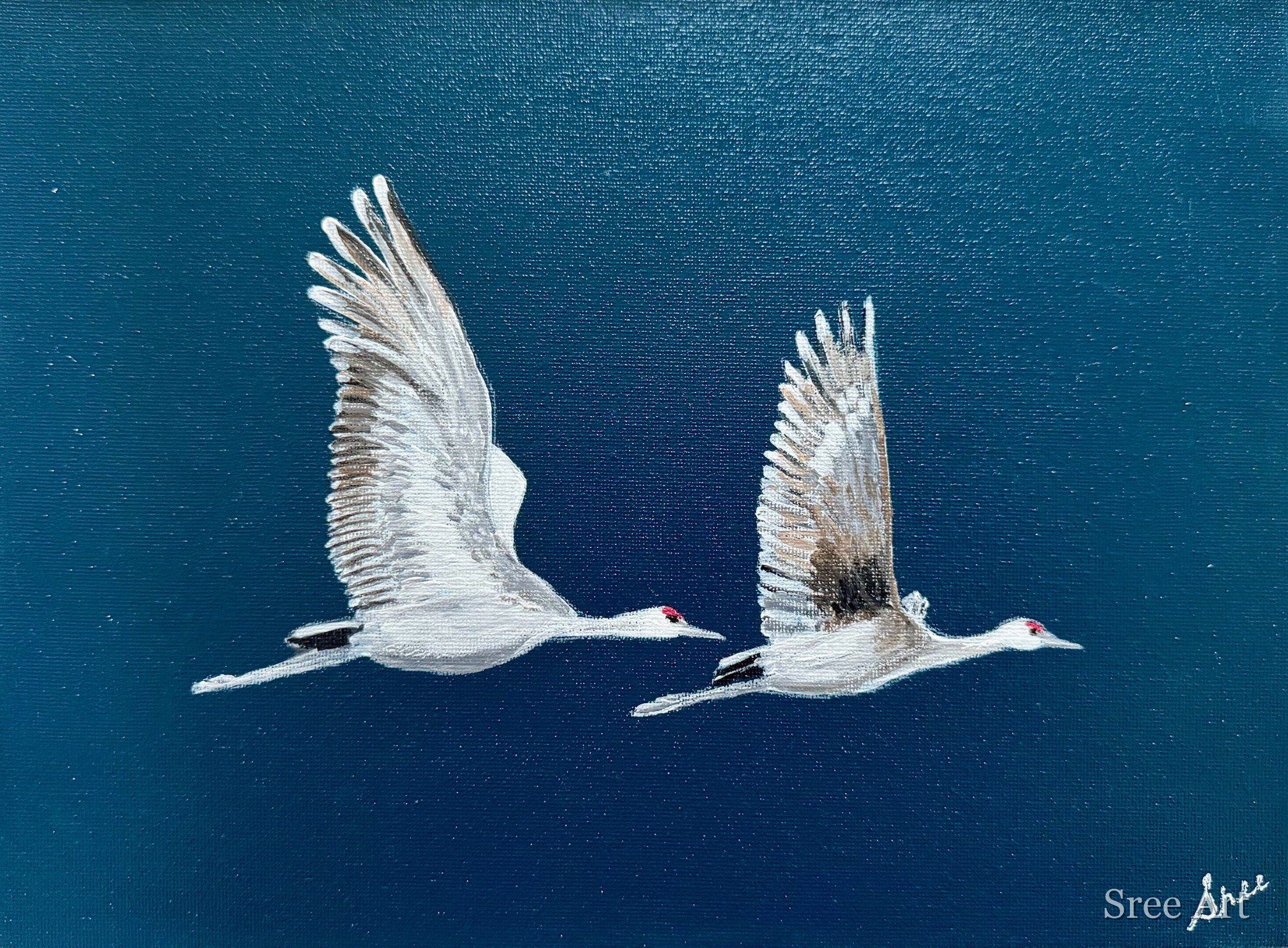 Together in Flight in canvas only