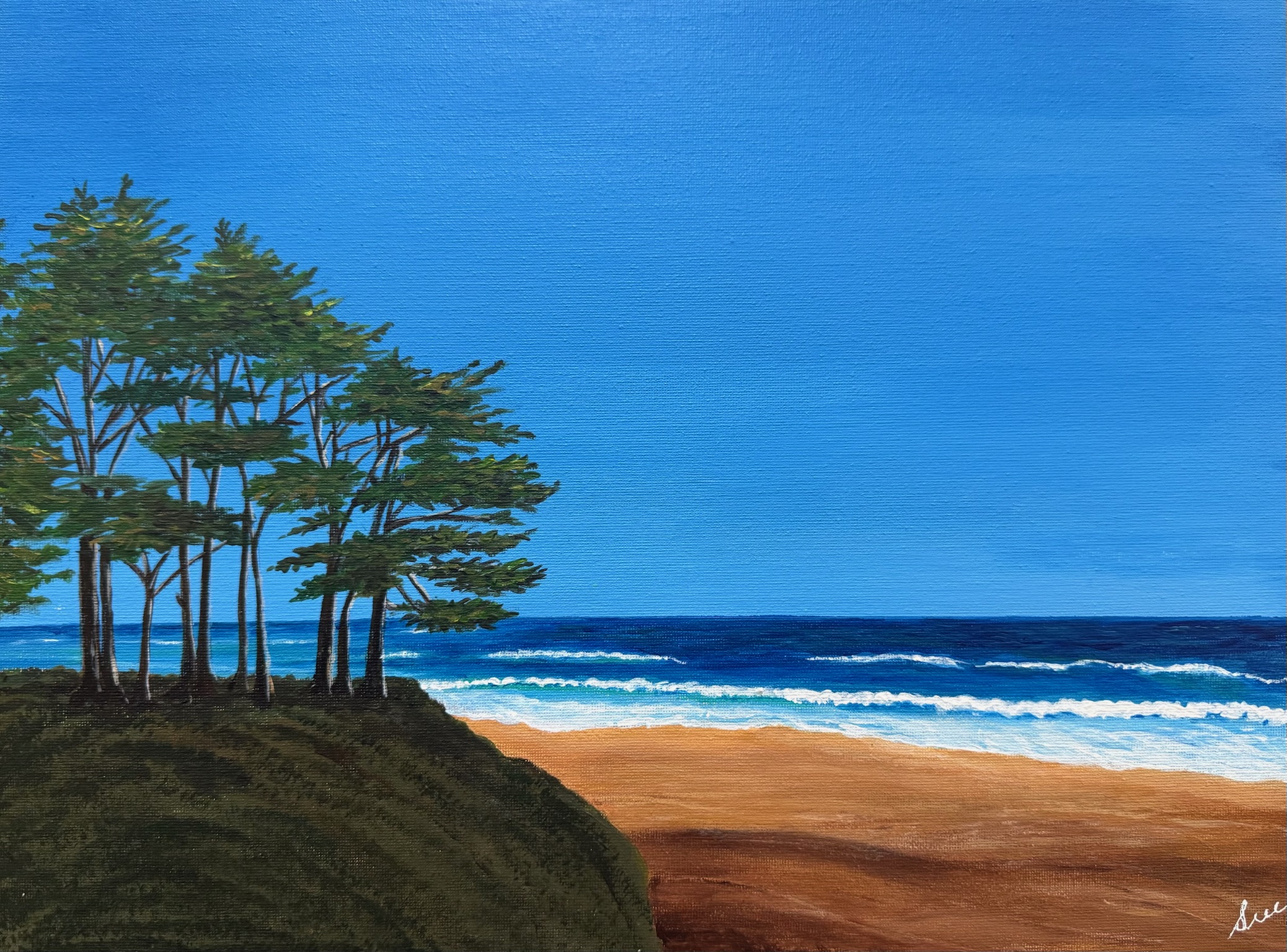 Pines by the Pacific