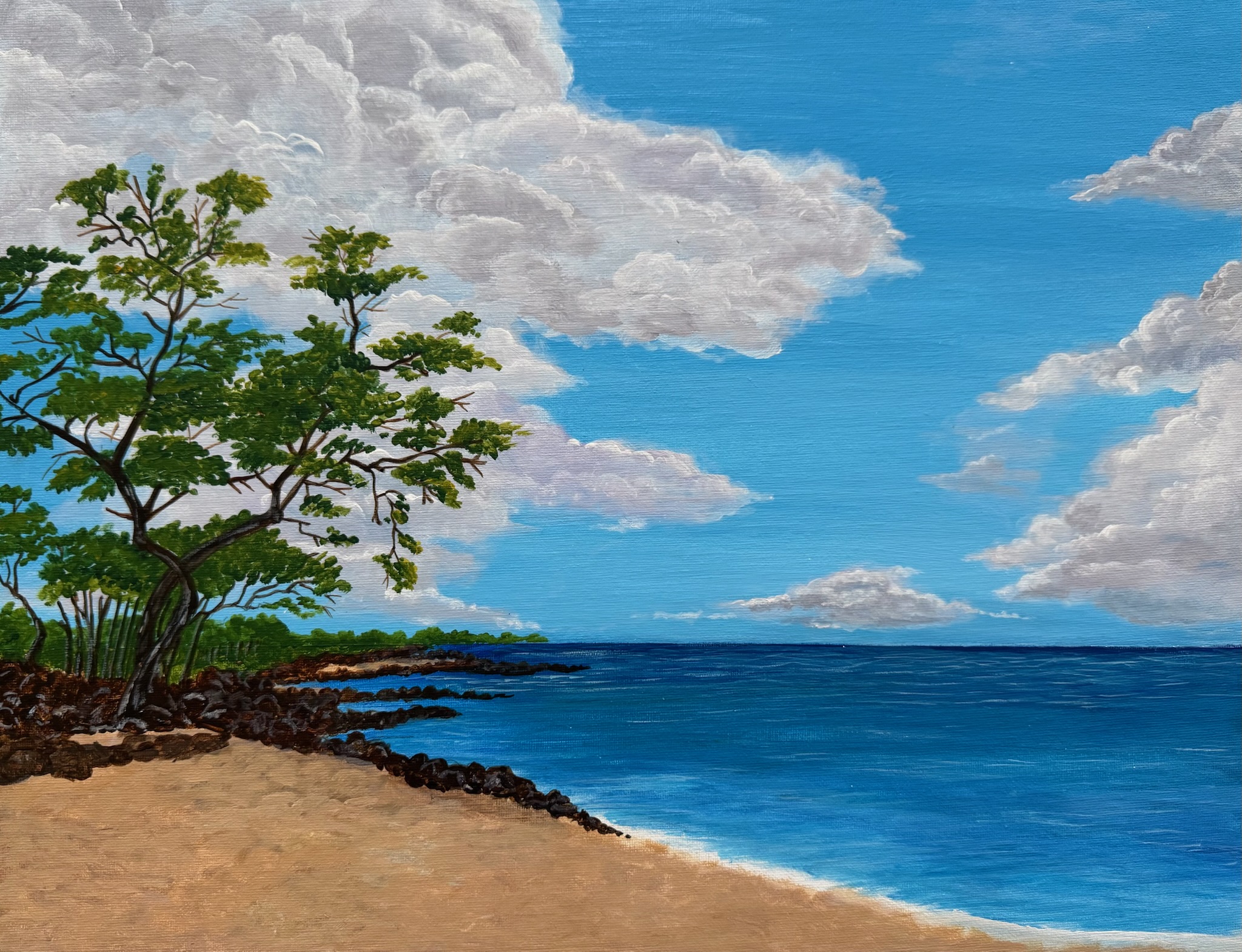 Shoreline Under Summer Clouds